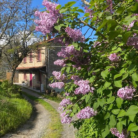 La Lupa E L'Orso Bed & Breakfast แบร์เชโต ภายนอก รูปภาพ