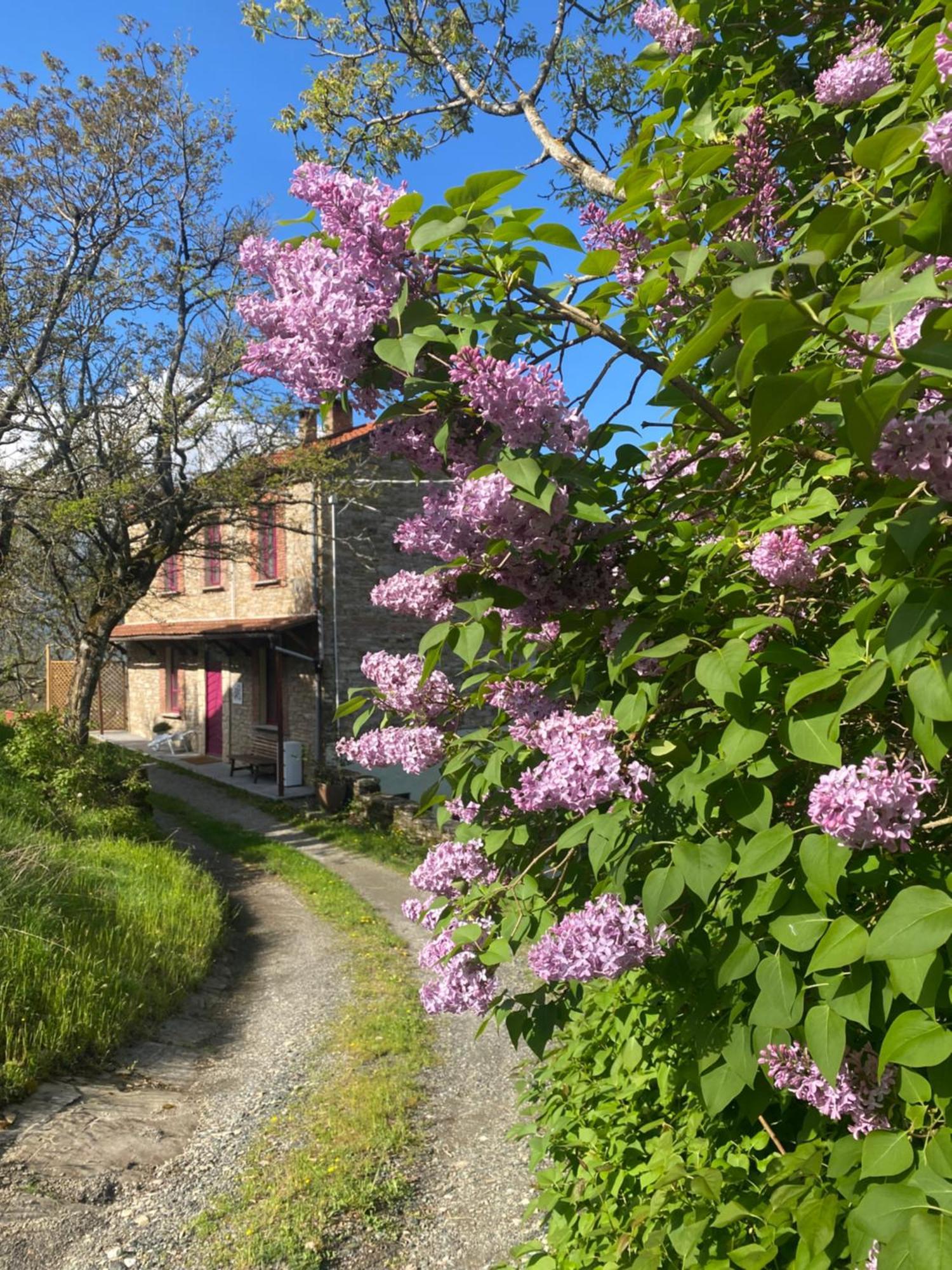 La Lupa E L'Orso Bed & Breakfast แบร์เชโต ภายนอก รูปภาพ